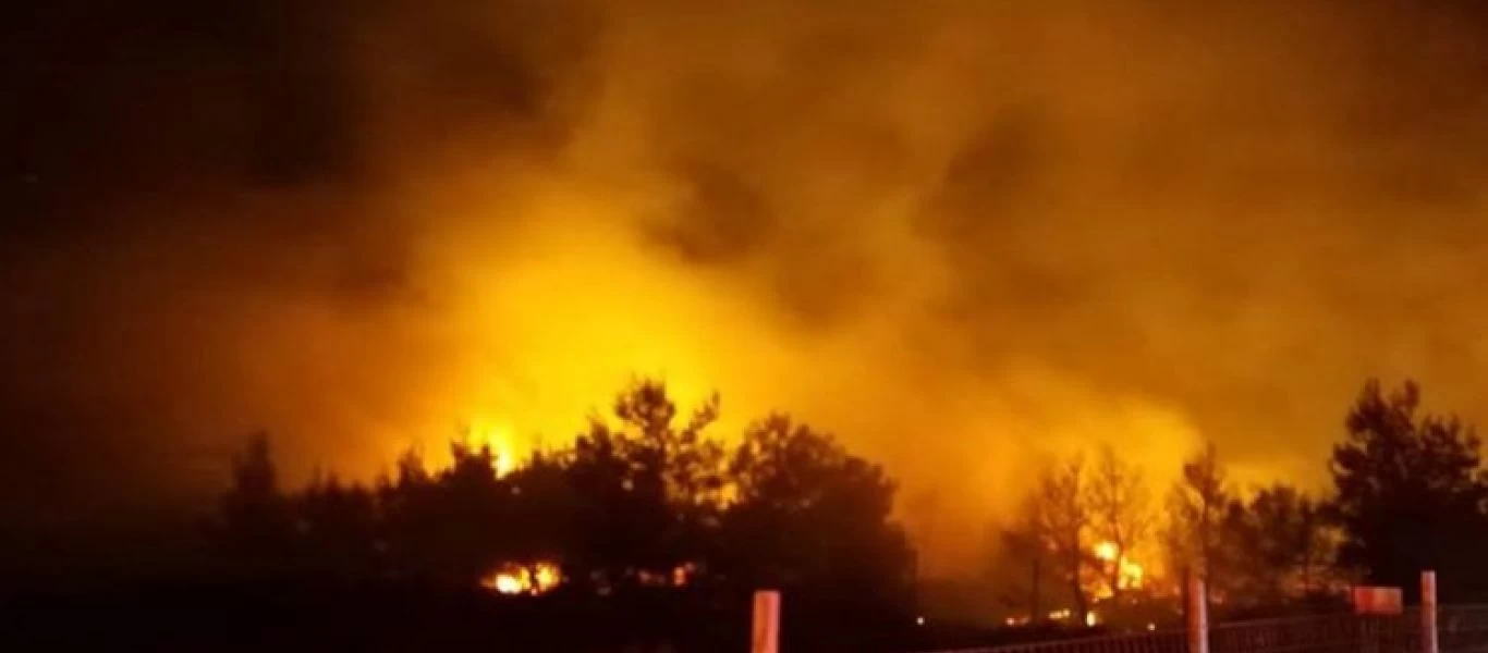 Νέα Μάκρη: Χωρίς ενεργό μέτωπο η πυρκαγιά - Η «μάχη» δίνεται σε μικρές διάσπαρτες εστίες